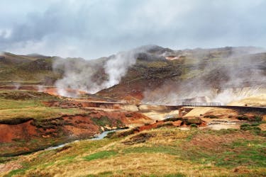 Reykjanes Peninsula and The Blue Lagoon day tour